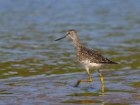 09-18-06-Jug Bay-4907