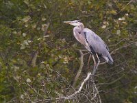 09-23-06-Nanjemoy-5075