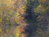 10-08-06-Piscataway-5767