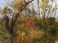 10-08-06-Piscataway-5786