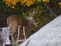 10-21-06-Rocky Gorge-6364