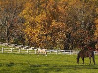 10-21-06-Rocky Gorge-6529