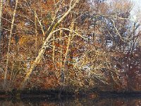 11-11-06-Piscataway-7359