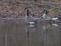 11-25-06-Rocky Gorge-7553
