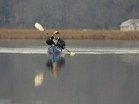 2007