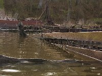 04-11-08-Mattawoman- MG 1015
