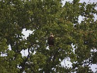 05-03-08-Mattawoman- MG 1550