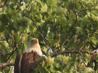 05-03-08-Mattawoman- MG 1647