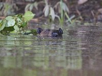05-18-08-Piscataway MG 2477
