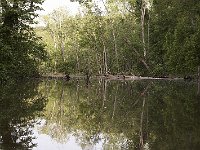 05-18-08-Piscataway MG 2511
