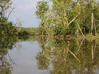 05-18-08-Piscataway MG 2514