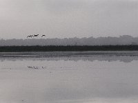 06-01-08-Mattawoman MG 3181