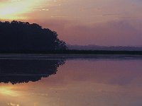 06-01-08-Mattawoman MG 3184
