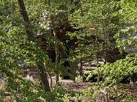 06-01-08-Mattawoman MG 3396