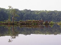 06-12-08-Mattawoman MG 3513