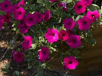 07-02-08-Mattaponi MG 4429