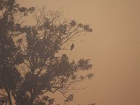 08-03-08-Rt 4 MG 4932