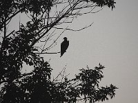 08-03-08-Rt 4 MG 4948