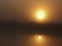08-03-08-Rt 4 MG 4965