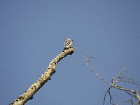 09-14-08-Piscataway MG 6503