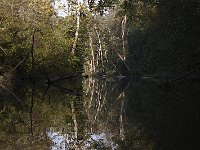 09-14-08-Piscataway MG 6511