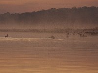 10-11-08-Mattawoman MG 6958