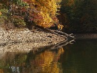 10-13-08-Triadelphia MG 7774