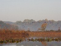 10-16-08-Mataponi MG 7886