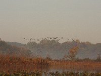 10-16-08-Mataponi MG 7887