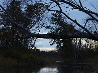 10-18-08-Rt 4 MG 8251