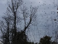 10-18-08-Rt 4 MG 8257