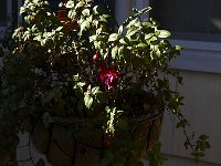 10-18-08-Rt 4 MG 8333