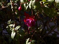10-18-08-Rt 4 MG 8336