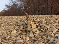 11-01-08-Rocky Gorge MG 8979