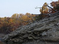 11-01-08-Rocky Gorge MG 9131
