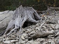 11-01-08-Rocky Gorge MG 9339