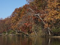 11-11-08-Mattawoman MG 0085