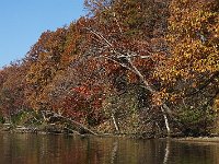 11-11-08-Mattawoman MG 0088
