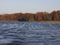 11-11-08-Mattawoman MG 9744