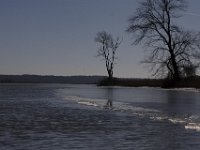 01-22-09-Selbys Landing MG 0425  --