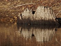04-18-09-Rocky Gorge-IMG 1704