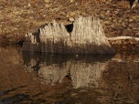 04-18-09-Rocky Gorge-IMG 1719