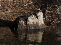 04-18-09-Rocky Gorge-IMG 1724