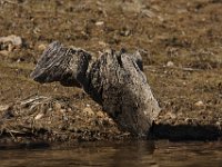 04-18-09-Rocky Gorge-IMG 1816