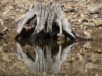04-18-09-Rocky Gorge-IMG 1844