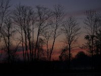 04-26-09-Rt 4