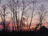 04-26-09-Rt 4 2119