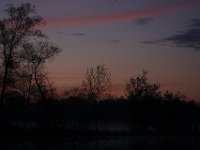 04-26-09-Rt 4 2129