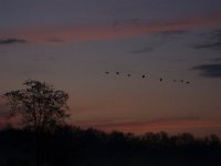 04-26-09-Rt 4 2145 1