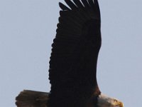 04-26-09-Rt 4 2431